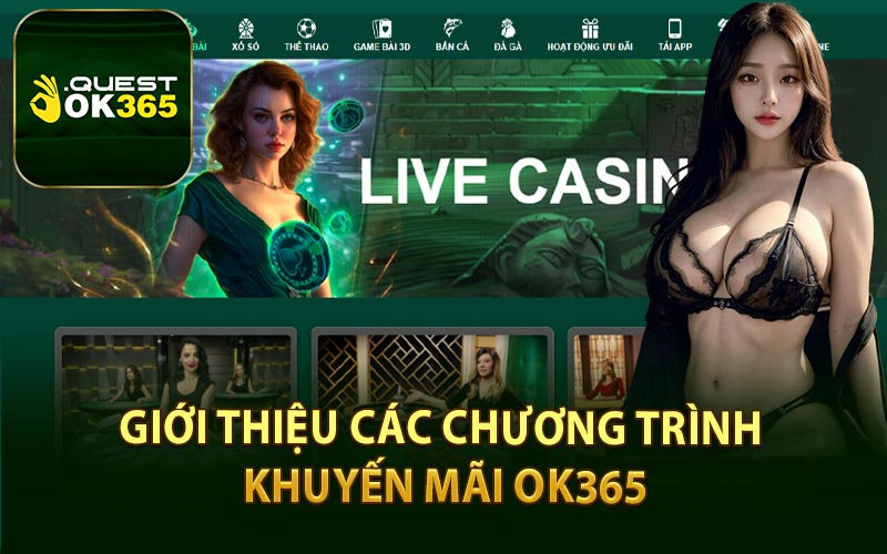 Giới Thiệu Các Chương Trình Khuyến Mãi OK365